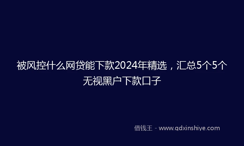 被风控什么网贷能下款2024年精选，汇总5个5个无视黑户下款口子
