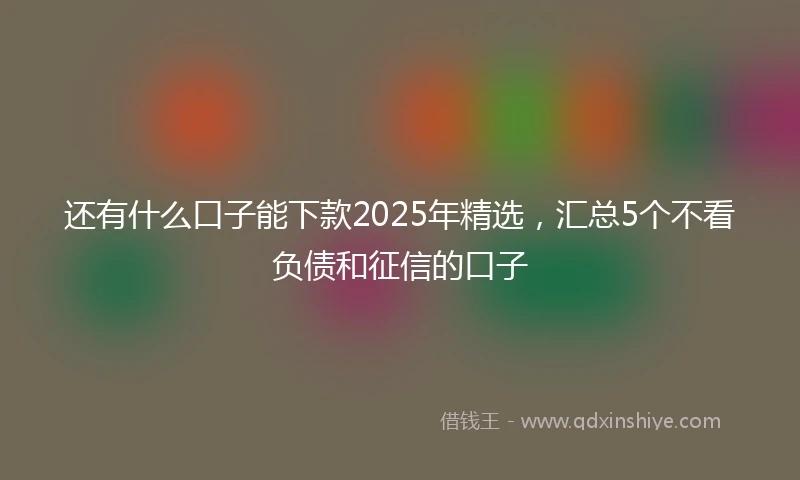 还有什么口子能下款2025年精选，汇总5个不看负债和征信的口子