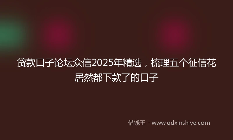贷款口子论坛众信2025年精选，梳理五个征信花居然都下款了的口子
