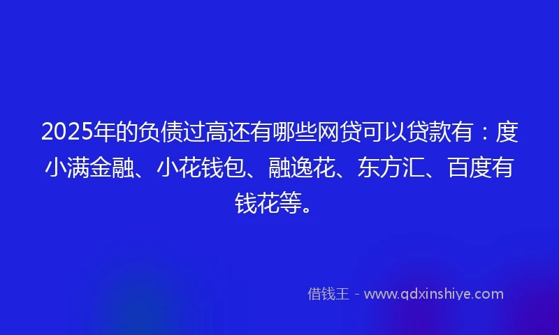 2025年的负债过高还有哪些网贷可以贷款有：度小满金融、小花钱包、融逸花、东方汇、百度有钱花等。