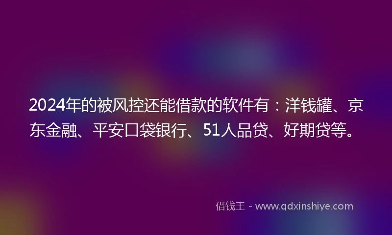 2024年的被风控还能借款的软件有：洋钱罐、京东金融、平安口袋银行、51人品贷、好期贷等。
