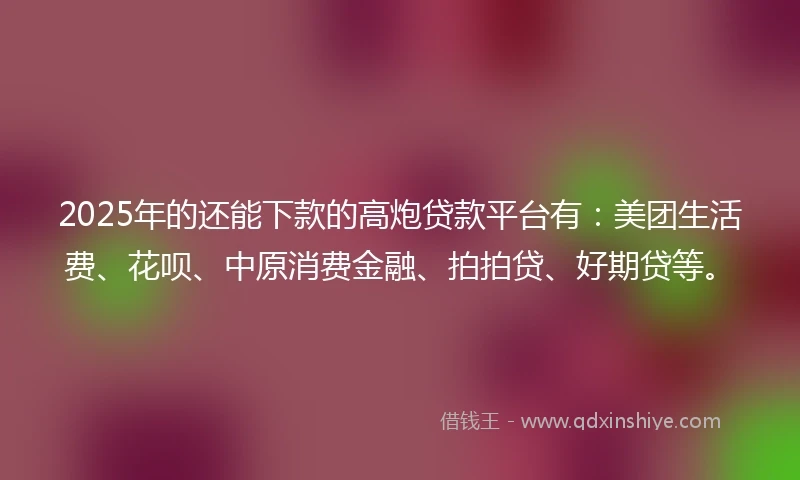 2025年的还能下款的高炮贷款平台有：美团生活费、花呗、中原消费金融、拍拍贷、好期贷等。