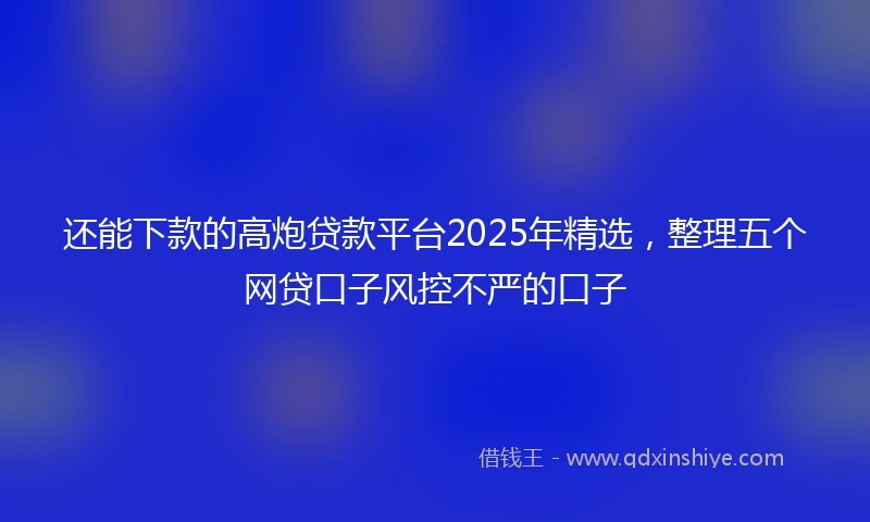 还能下款的高炮贷款平台2025年精选，整理五个网贷口子风控不严的口子