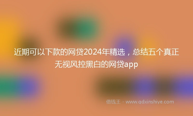 近期可以下款的网贷2024年精选，总结五个真正无视风控黑白的网贷app