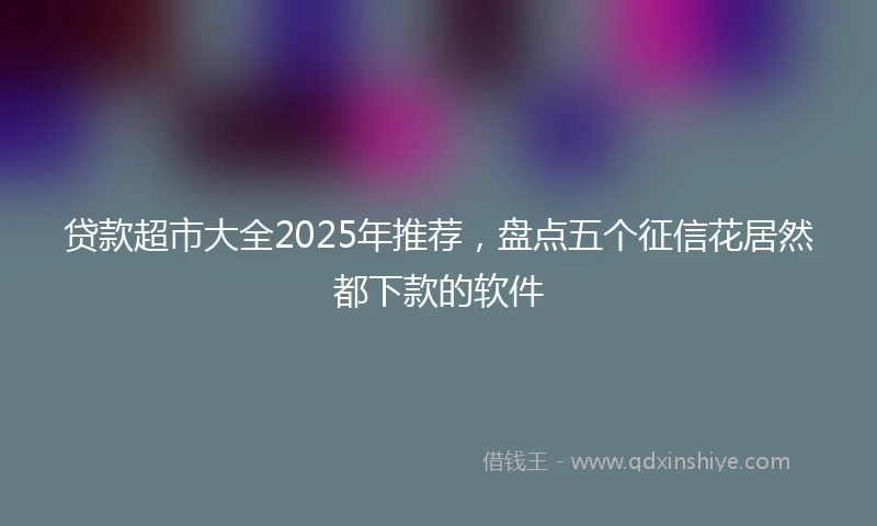 贷款超市大全2025年推荐，盘点五个征信花居然都下款的软件
