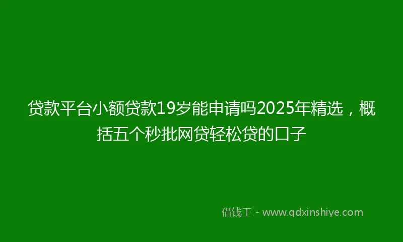 贷款平台小额贷款19岁能申请吗2025年精选，概括五个秒批网贷轻松贷的口子