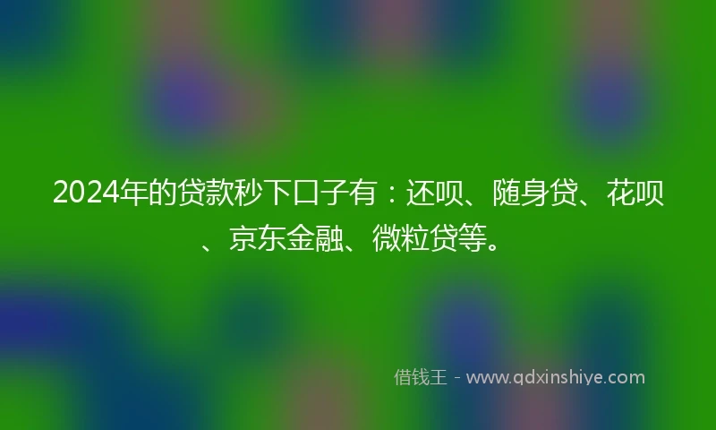 2024年的贷款秒下口子有：还呗、随身贷、花呗、京东金融、微粒贷等。