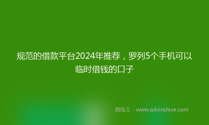 规范的借款平台2024年推荐，罗列5个手机可以临时借钱的口子