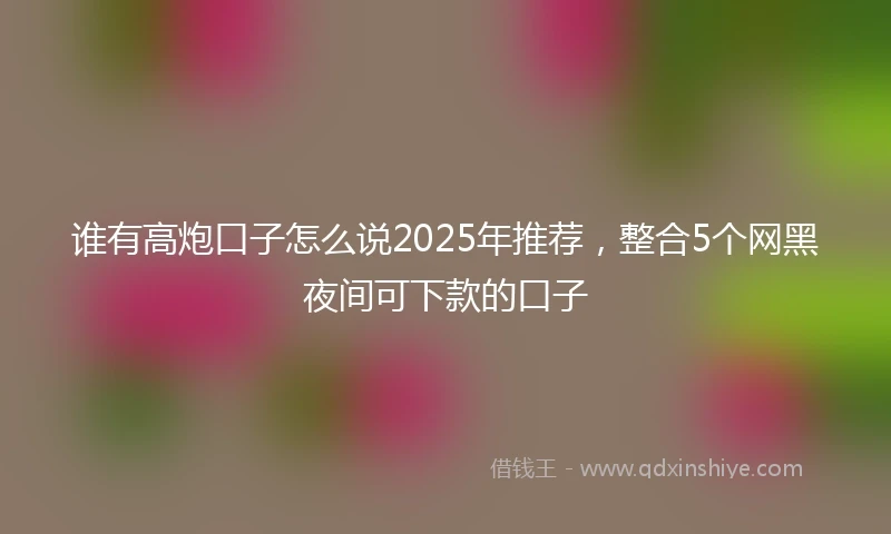 谁有高炮口子怎么说2025年推荐，整合5个网黑夜间可下款的口子