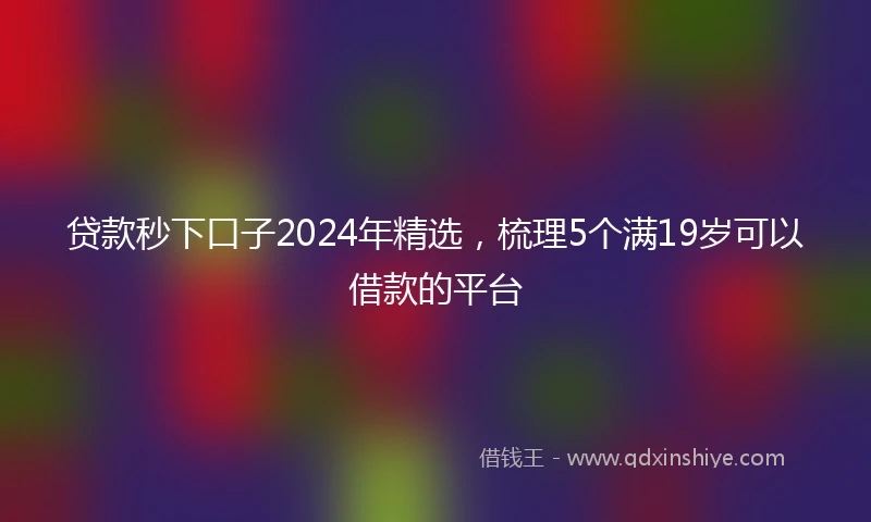 贷款秒下口子2024年精选，梳理5个满19岁可以借款的平台