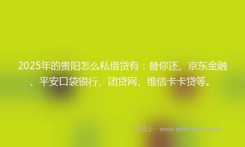 2025年的贵阳怎么私借贷有：替你还、京东金融、平安口袋银行、团贷网、维信卡卡贷等。