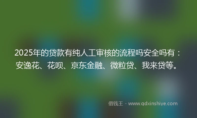 2025年的贷款有纯人工审核的流程吗安全吗有：安逸花、花呗、京东金融、微粒贷、我来贷等。