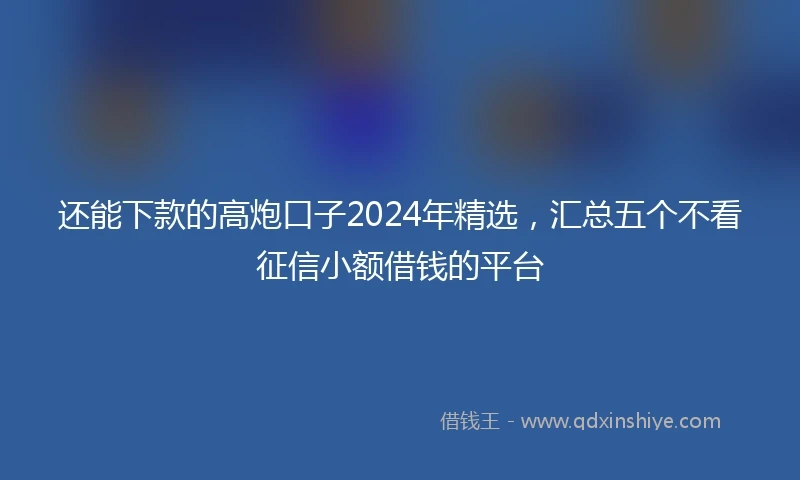 还能下款的高炮口子2024年精选，汇总五个不看征信小额借钱的平台