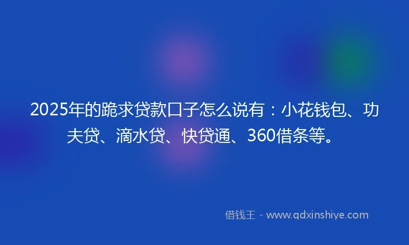 2025年的跪求贷款口子怎么说有：小花钱包、功夫贷、滴水贷、快贷通、360借条等。