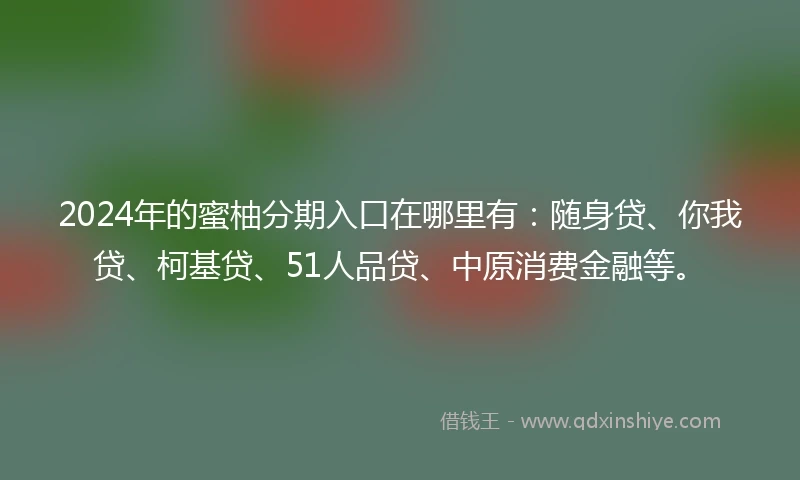 2024年的蜜柚分期入口在哪里有：随身贷、你我贷、柯基贷、51人品贷、中原消费金融等。