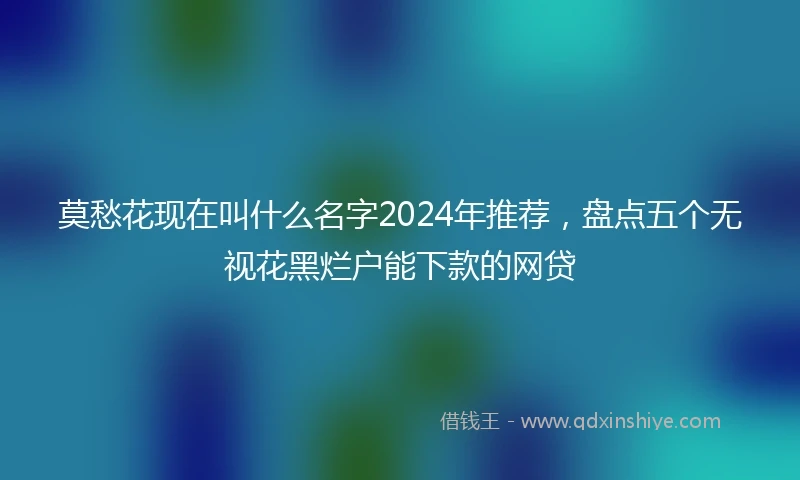 莫愁花现在叫什么名字2024年推荐，盘点五个无视花黑烂户能下款的网贷