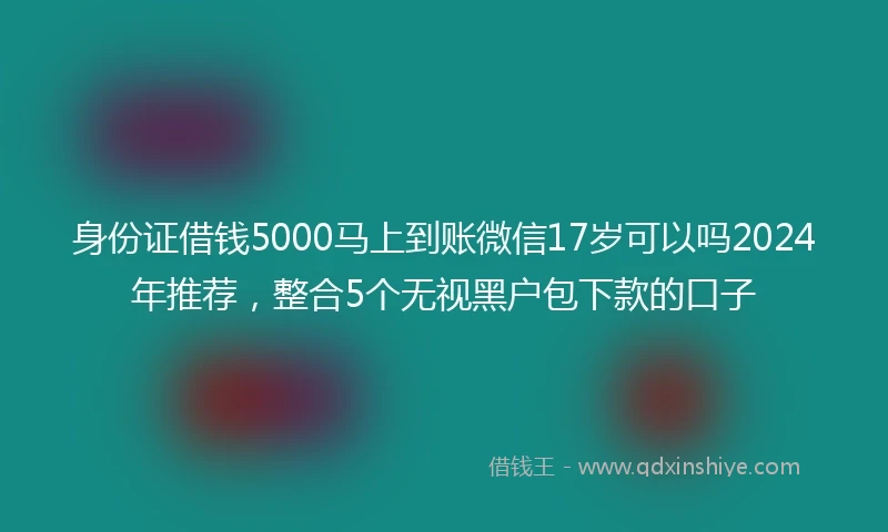 身份证借钱5000马上到账微信17岁可以吗2024年推荐，整合5个无视黑户包下款的口子