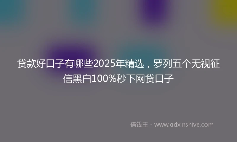 贷款好口子有哪些2025年精选，罗列五个无视征信黑白100%秒下网贷口子
