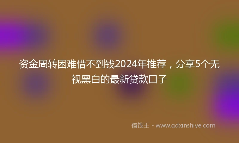 资金周转困难借不到钱2024年推荐，分享5个无视黑白的最新贷款口子