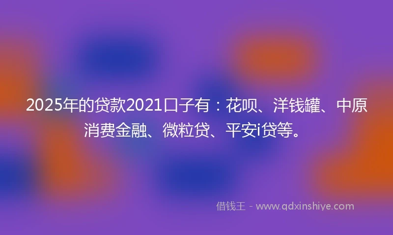 2025年的贷款2021口子有：花呗、洋钱罐、中原消费金融、微粒贷、平安i贷等。