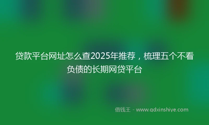 贷款平台网址怎么查2025年推荐，梳理五个不看负债的长期网贷平台