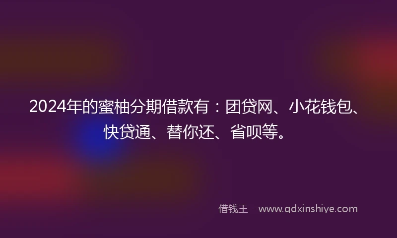 2024年的蜜柚分期借款有：团贷网、小花钱包、快贷通、替你还、省呗等。