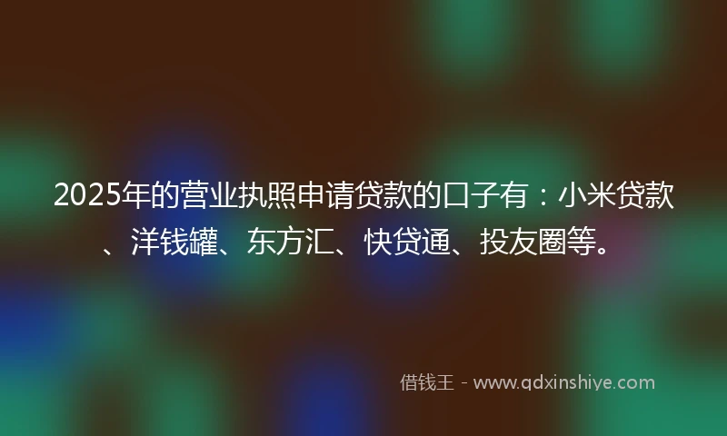 2025年的营业执照申请贷款的口子有：小米贷款、洋钱罐、东方汇、快贷通、投友圈等。