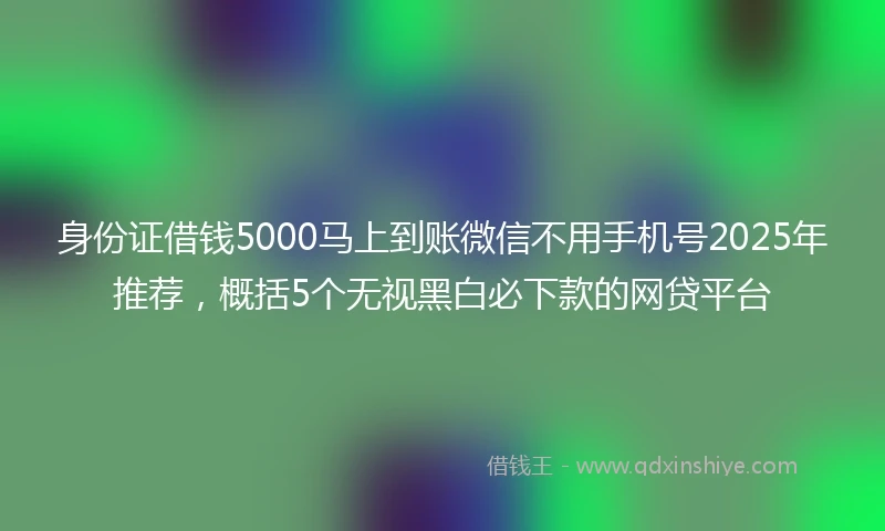 身份证借钱5000马上到账微信不用手机号2025年推荐，概括5个无视黑白必下款的网贷平台