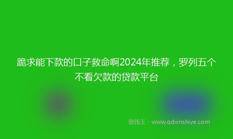 跪求能下款的口子救命啊2024年推荐，罗列五个不看欠款的贷款平台