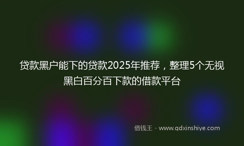 贷款黑户能下的贷款2025年推荐,整理5个无视黑白百分百下款的借款平台