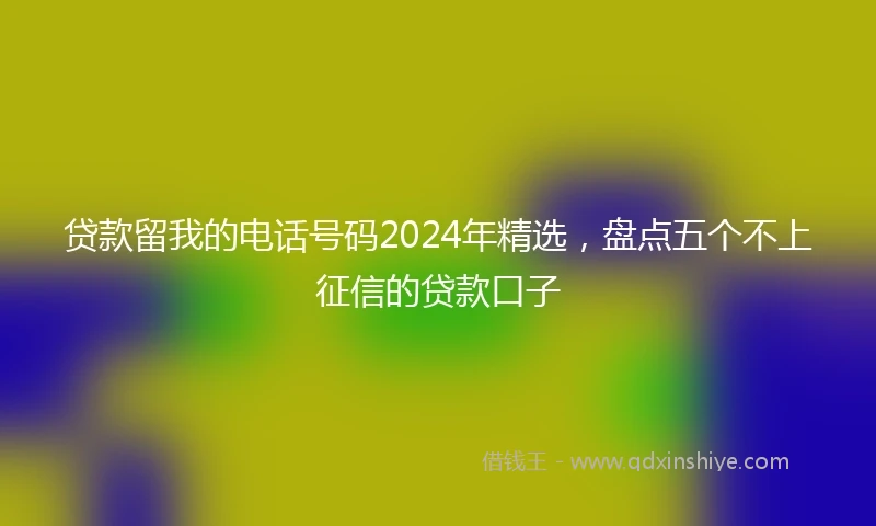 贷款留我的电话号码2024年精选，盘点五个不上征信的贷款口子