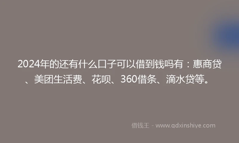 2024年的还有什么口子可以借到钱吗有：惠商贷、美团生活费、花呗、360借条、滴水贷等。