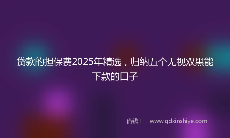 贷款的担保费2025年精选，归纳五个无视双黑能下款的口子