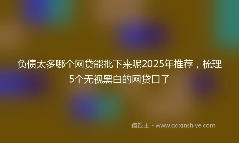 负债太多哪个网贷能批下来呢2025年推荐，梳理5个无视黑白的网贷口子