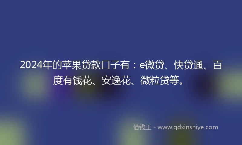 2024年的苹果贷款口子有：e微贷、快贷通、百度有钱花、安逸花、微粒贷等。