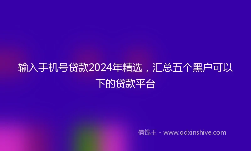 输入手机号贷款2024年精选，汇总五个黑户可以下的贷款平台
