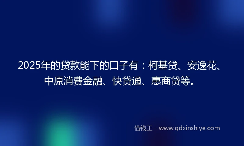 2025年的贷款能下的口子有：柯基贷、安逸花、中原消费金融、快贷通、惠商贷等。