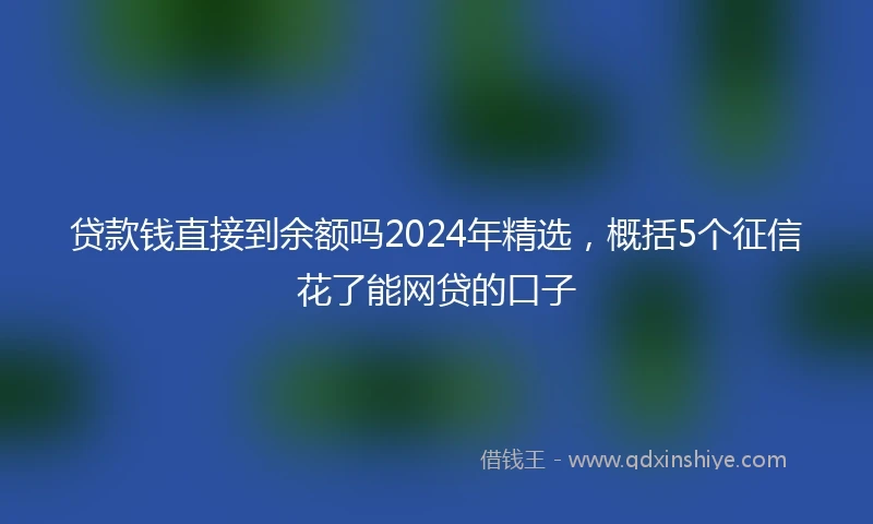 贷款钱直接到余额吗2024年精选，概括5个征信花了能网贷的口子