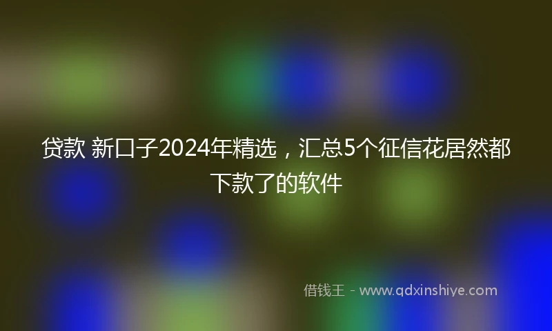 贷款 新口子2024年精选，汇总5个征信花居然都下款了的软件