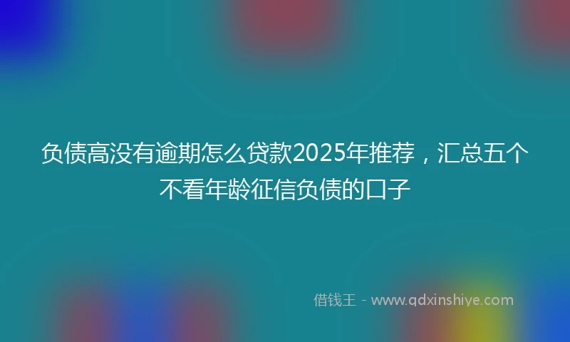 负债高没有逾期怎么贷款2025年推荐，汇总五个不看年龄征信负债的口子