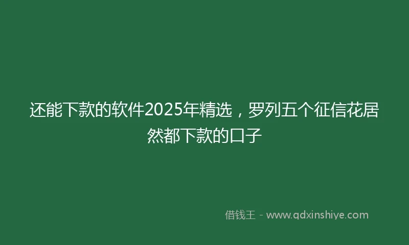 还能下款的软件2025年精选，罗列五个征信花居然都下款的口子