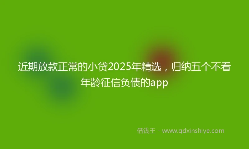 近期放款正常的小贷2025年精选，归纳五个不看年龄征信负债的app
