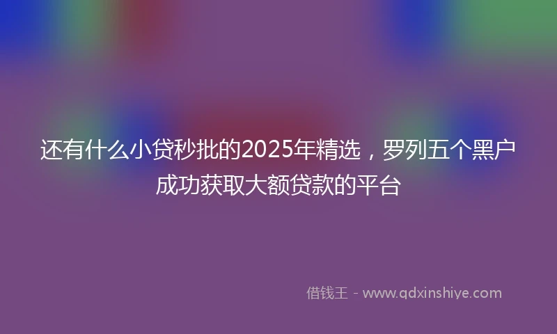 还有什么小贷秒批的2025年精选，罗列五个黑户成功获取大额贷款的平台