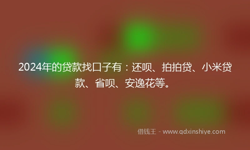 2024年的贷款找口子有：还呗、拍拍贷、小米贷款、省呗、安逸花等。