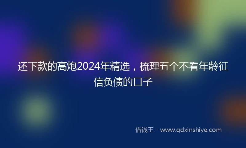 还下款的高炮2024年精选，梳理五个不看年龄征信负债的口子