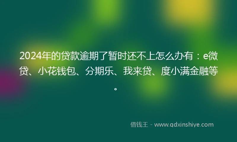 2024年的贷款逾期了暂时还不上怎么办有：e微贷、小花钱包、分期乐、我来贷、度小满金融等。
