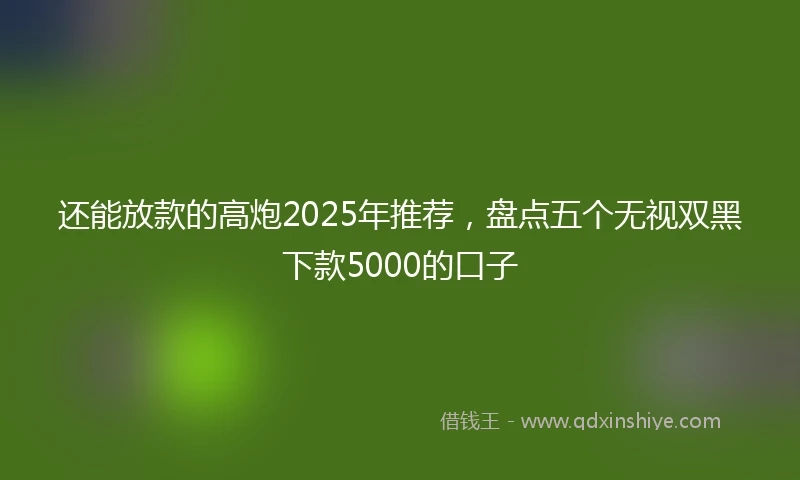 还能放款的高炮2025年推荐，盘点五个无视双黑下款5000的口子
