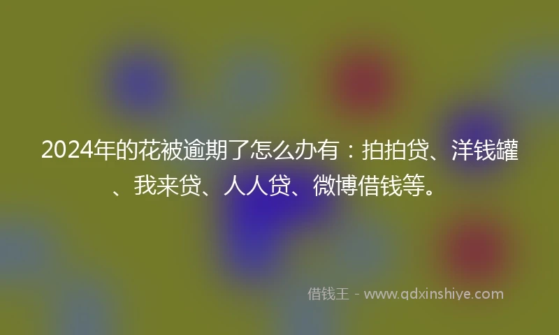2024年的花被逾期了怎么办有：拍拍贷、洋钱罐、我来贷、人人贷、微博借钱等。