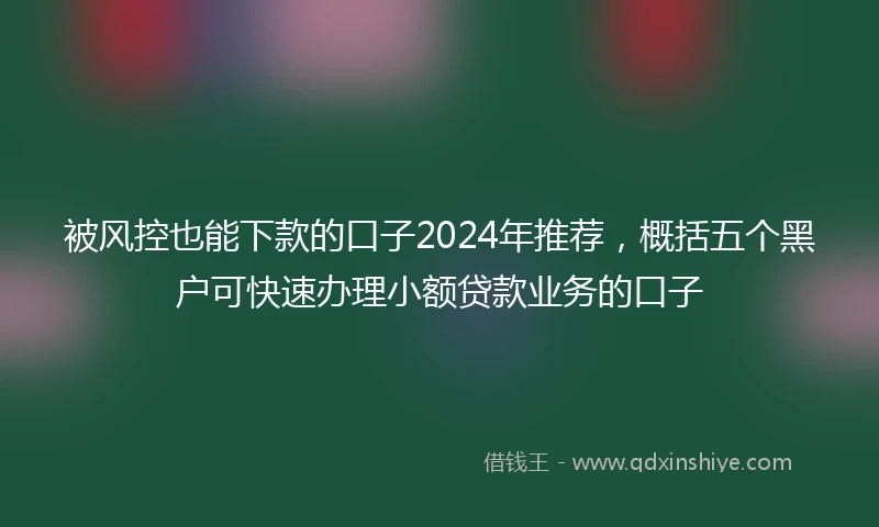 被风控也能下款的口子2024年推荐，概括五个黑户可快速办理小额贷款业务的口子
