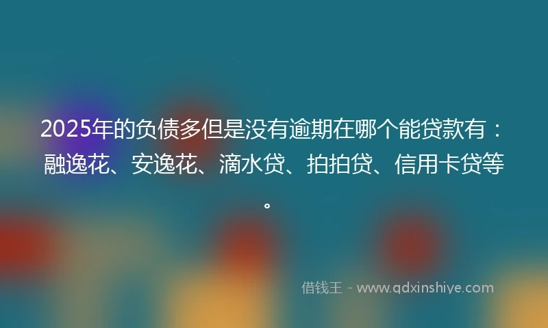 2025年的负债多但是没有逾期在哪个能贷款有：融逸花、安逸花、滴水贷、拍拍贷、信用卡贷等。
